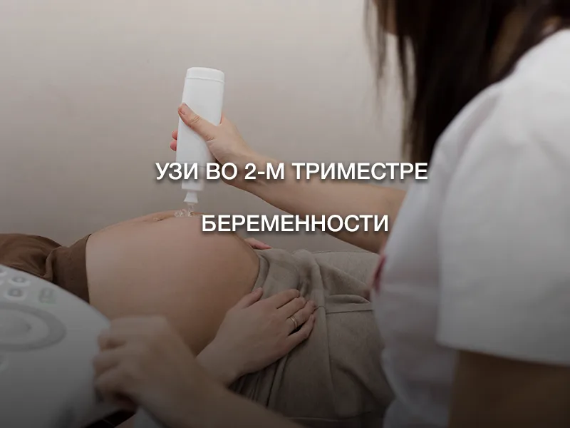 УЗИ во 2-м триместре беременности УЗИ во 2-м триместре беременности